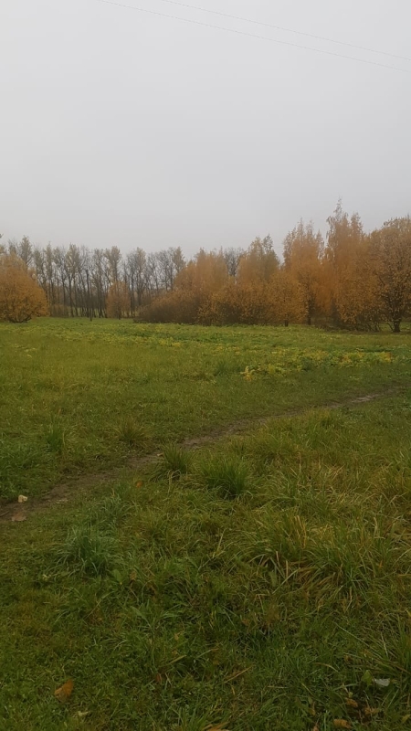 Объект по адресу Санкт-Петербург г, Шушары п, Петербургское ш