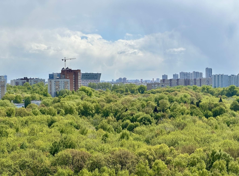 Объект по адресу Москва г, Нагорный б-р, д. 19к1