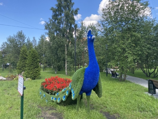 Объект по адресу Ленинградская обл, Кировский р-н, Синявино гп, Песочная ул, д. 12