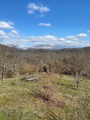 Объект по адресу Краснодарский край, Адлерский р-н, Галицыно с, Батайская ул, д. 12