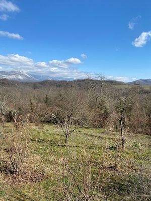 Объект по адресу Краснодарский край, Адлерский р-н, Галицыно с, Батайская ул, д. 12