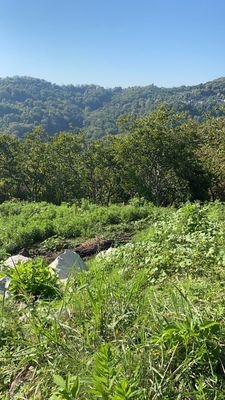 Объект по адресу Краснодарский край, Адлерский р-н, Ахштырь с, Кропоткинская ул, д. 35/1