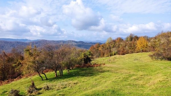 Объект по адресу Краснодарский край, Лазаревский р-н, Волковка с, Алычовый сад ул, д. 17