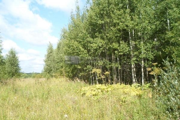 Объект по адресу Московская обл, Клинский р-н, Третьяково д