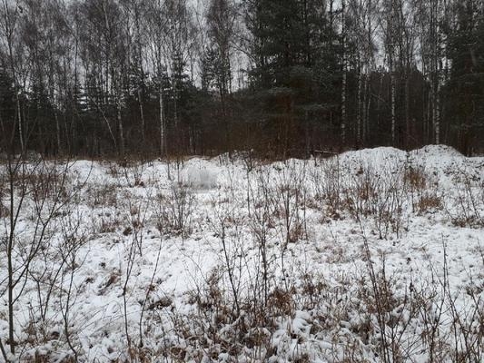 Объект по адресу Московская обл, Ногинск г, Светлый мкр, Богородская ул