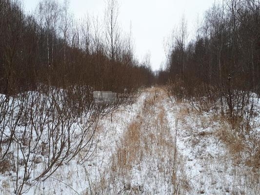 Объект по адресу Московская обл, Ногинск г, Светлый мкр, Богородская ул