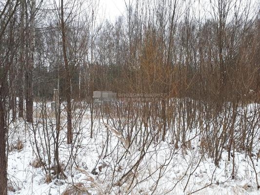 Объект по адресу Московская обл, Ногинск г, Светлый мкр, Богородская ул