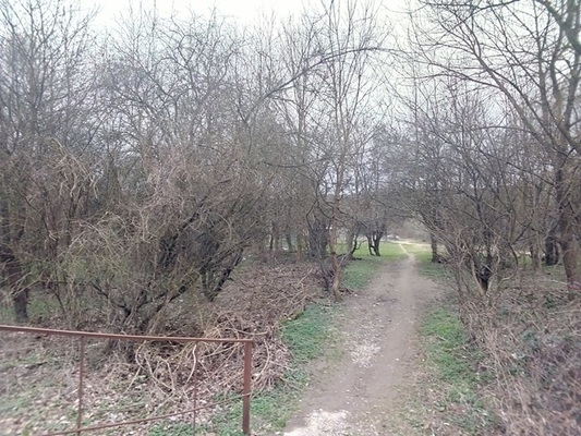 Объект по адресу Краснодарский край, Северский р-н, Крепостная ст-ца, Ленина ул, д. 37