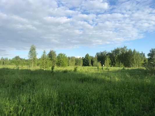 Объект по адресу Москва г, Краснопахорское п, Романцево д, 1-ая Лесная ул