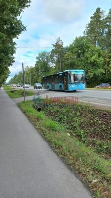 Объект по адресу Санкт-Петербург г, Песочный п, Ленинградская ул, д. 63