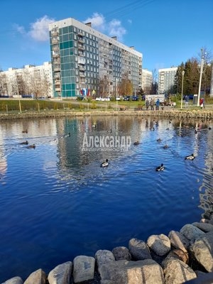 Объект по адресу Ленинградская обл, Всеволожский р-н, Сертолово-1 мкр, Молодцова ул, д. 11