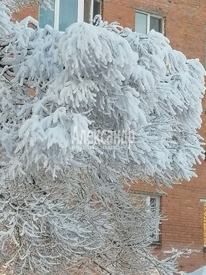 Объект по адресу Санкт-Петербург г, Молодежное п, Правды ул, д. 15