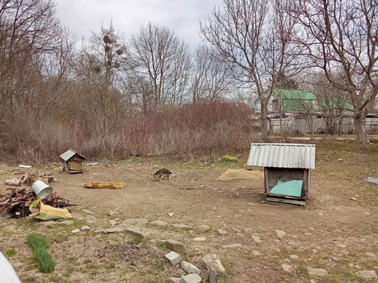 Объект по адресу Краснодарский край, Северский р-н, Смоленская ст-ца, Луговая ул, д. 15