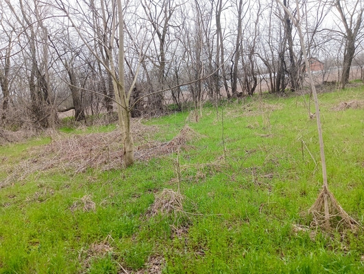 Объект по адресу Краснодарский край, Курганинский р-н, Петропавловская ст-ца, Карла Маркса ул, д. 11