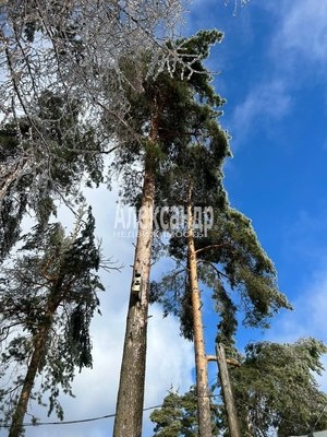 Объект по адресу Ленинградская обл, Приозерский р-н, Суходолье п, Центральная ул, д. 39