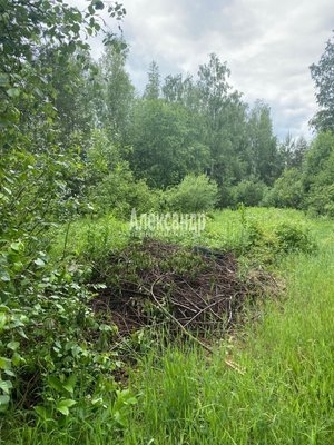 Объект по адресу Ленинградская обл, Приозерский р-н, Массив Лопастное дп, СНТ Белокаменка тер