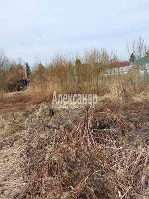 Объект по адресу Ленинградская обл, Киришский р-н, Рассвет снт, Черемуховая ул