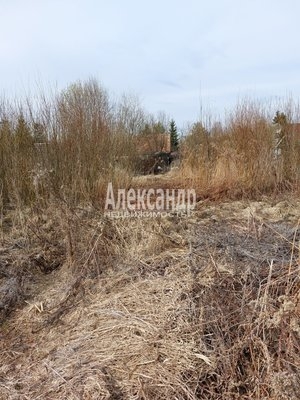 Объект по адресу Ленинградская обл, Киришский р-н, Рассвет снт, Черемуховая ул