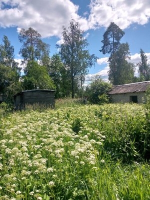 Объект по адресу Ленинградская обл, Гатчинский р-н, Сиверский гп, Красная ул, д. 13