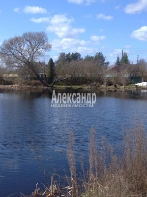 Объект по адресу Ленинградская обл, Лужский р-н, Надбелье д, Надбелье тер. СНТ