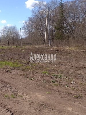 Объект по адресу Ленинградская обл, Лужский р-н, Надбелье д, Надбелье тер. СНТ