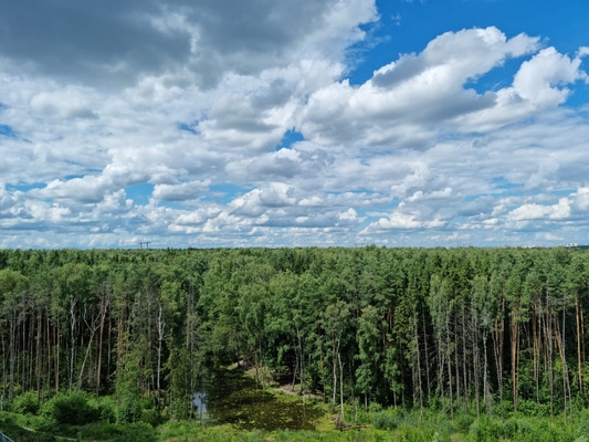 Объект по адресу Московская обл, Одинцово г, Кутузовская ул, д. 33