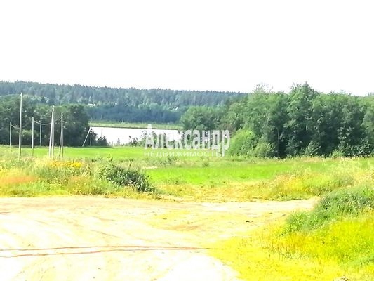 Объект по адресу Ленинградская обл, Приозерский р-н, Веснино п, Кедровая ул, д. 20