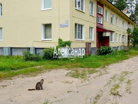 Объект по адресу Ленинградская обл, Приозерский р-н, Понтонное п, Молодежная ул, д. 4